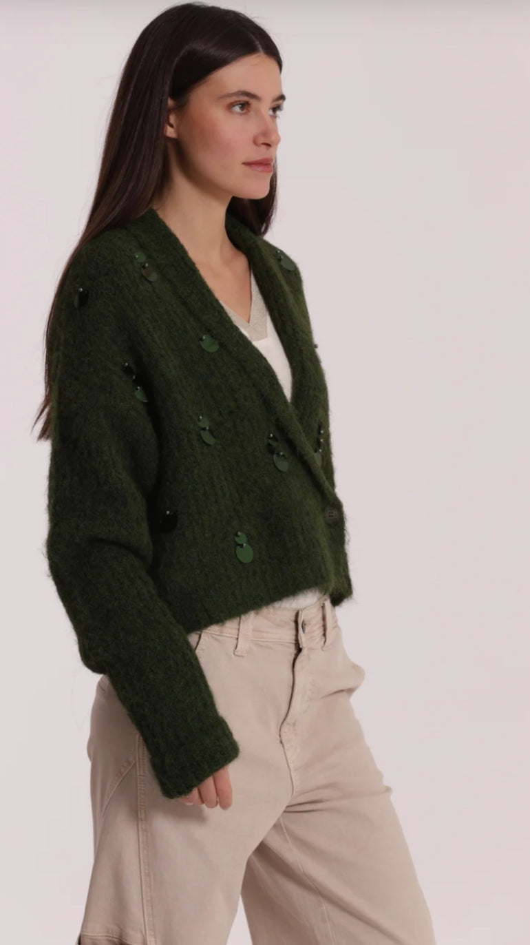 Chaqueta lentejuelas verde
