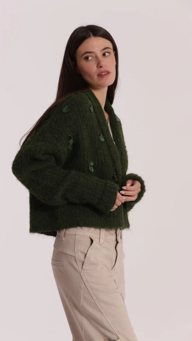 Chaqueta lentejuelas verde