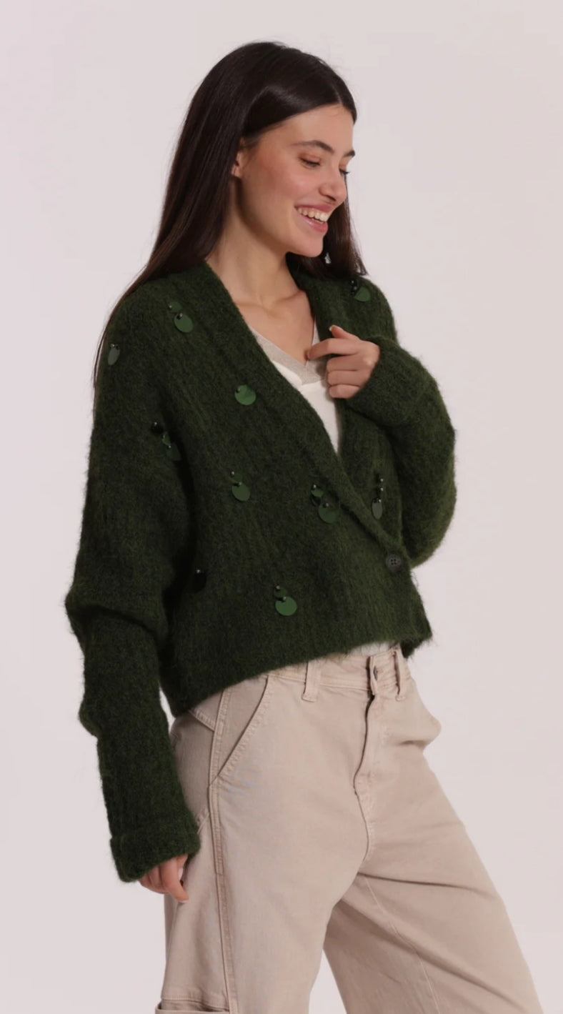 Chaqueta lentejuelas verde