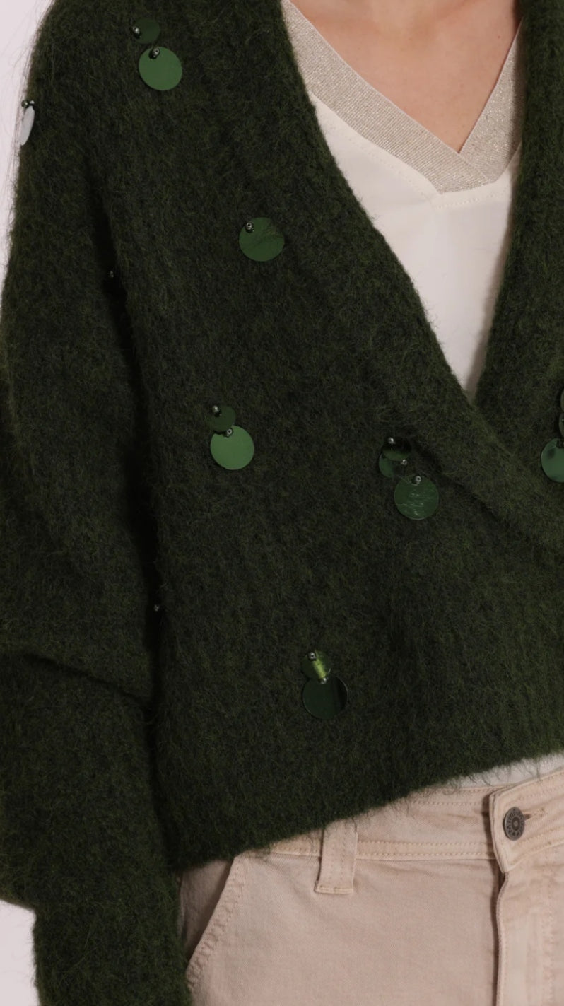 Chaqueta lentejuelas verde