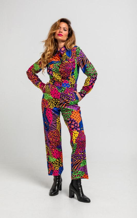 Mono leopardo colores